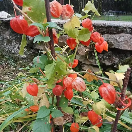 La Tour Des Quatre Chemins 格拉马