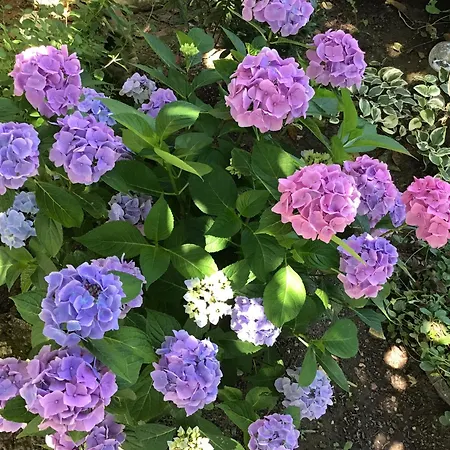 La Tour Des Quatre Chemins * Gramat