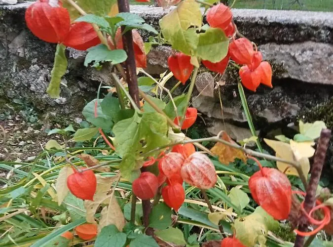 La Tour Des Quatre Chemins غرامات