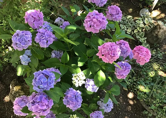 La Tour Des Quatre Chemins * غرامات