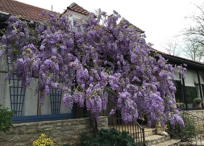 La Tour Des Quatre Chemins * غرامات